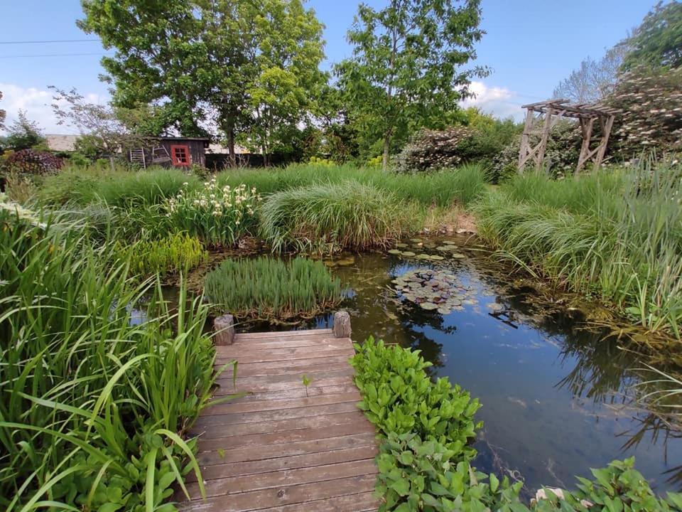 Au Jardin De La Marquetterie *