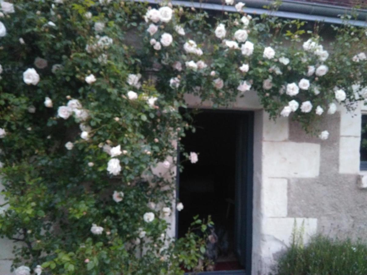 Hébergement de vacances Au Jardin De La Marquetterie