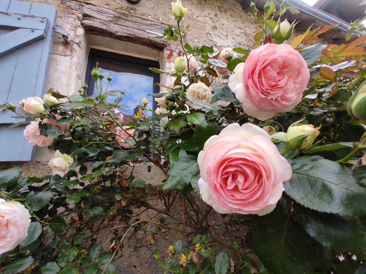 Au Jardin De La Marquetterie Hébergement de vacances