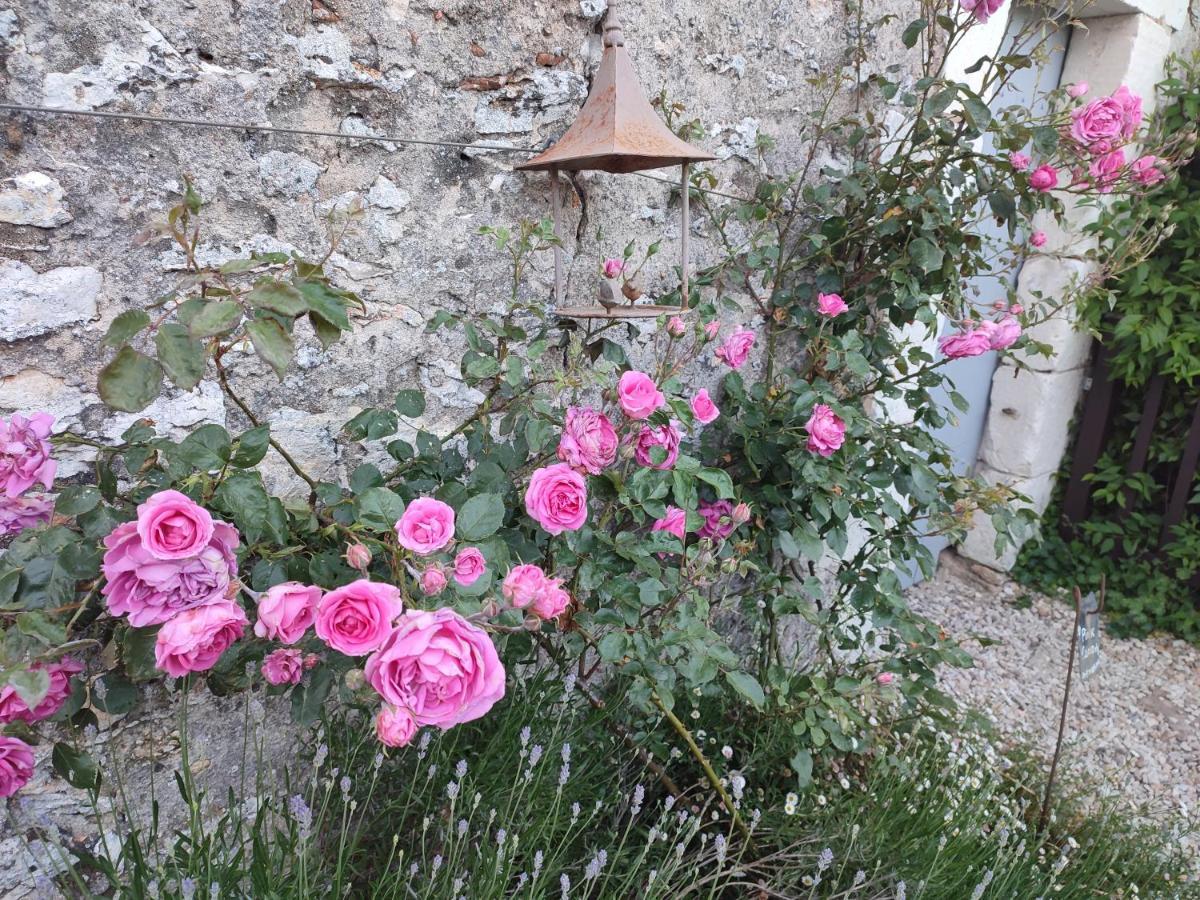 Au Jardin De La Marquetterie Hébergement de vacances